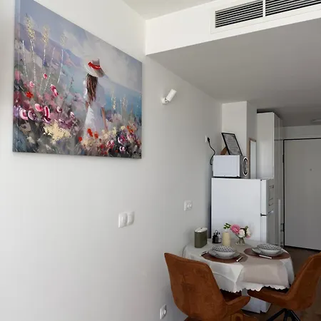 Sunny Nest Apartment
